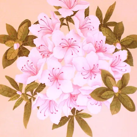 Charming Glicine And Azalea House Art And Colour With Lakeview * Cadenabbia