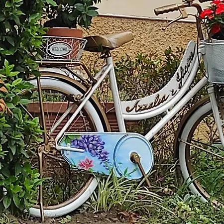 Charming Glicine And Azalea House Art And Colour With Lakeview Cadenabbia