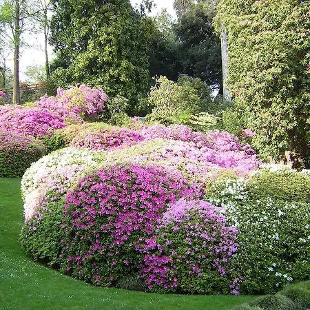 Charming Glicine And Azalea House Art And Colour With Lakeview